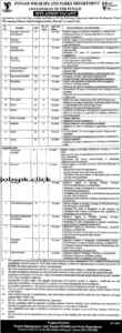 Punjab Wildlife and Parks Department Jobs 2025 Official Advertisement
