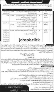 Directorate of Archaeology and Museums KP Jobs 2025 Apply via ETEA 1 Directorate of Archaeology and Museums KP Jobs 2025 official advertisement