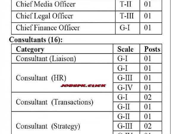 Ministry of Privatisation Jobs 2026 Official Advertisement