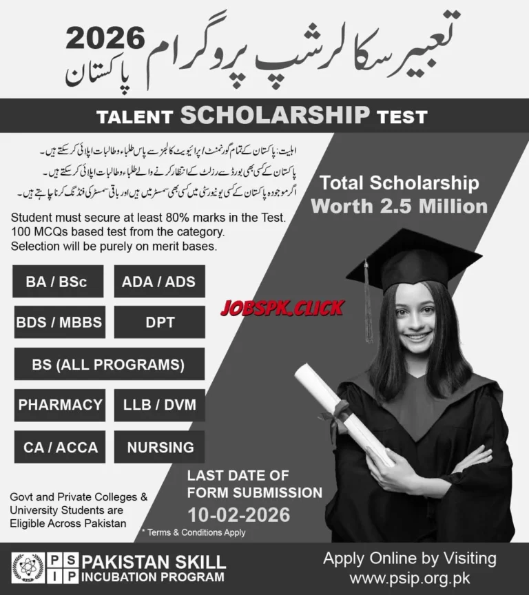 Tabeer Scholarship 2026 Official Advertisement