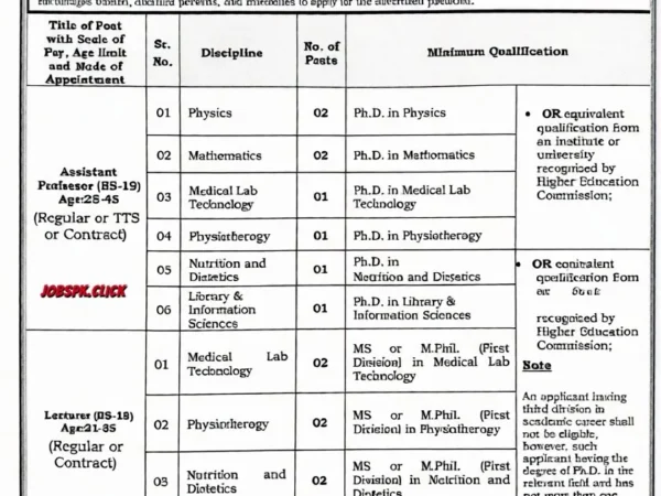 University of Okara Jobs Advertisement No.01/2026