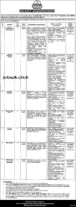 Human Rights Department Jobs 2026 Punjab Apply Now 1 Human Rights & Minorities Affairs Department Government of Punjab jobs advertisement