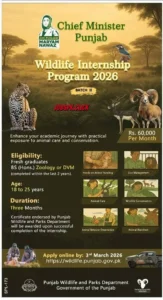 CM Punjab Wildlife Internship Program 2026 – Apply Online Now 1 CM Punjab Wildlife Internship Program 2026 Official Advertisement