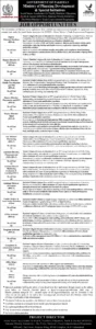 Ministry of Planning Development & Special Initiatives Jobs 2026 Official Advertisement