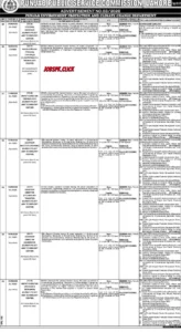 PPSC Advertisement No. 03/2026