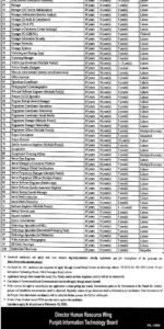 Punjab Information Technology Board (PITB) Jobs 2026 Official Advertisement