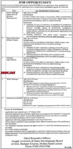 Punjab Livestock & Dairy Development Board Jobs 2026 | Multiple Vacancies | Apply Online 1 Punjab Livestock & Dairy Development Board Jobs 2026 Official Advertisement