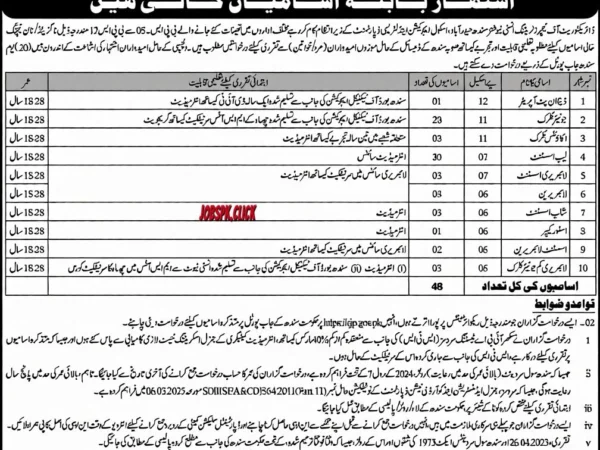 School Education & Literacy Department – Directorate of Teaching Training Institutions Sindh Hyderabad Jobs 2026 Official Advertisement
