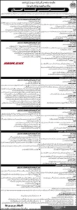Works and Services Department Sindh Jobs 2026 Official Advertisement