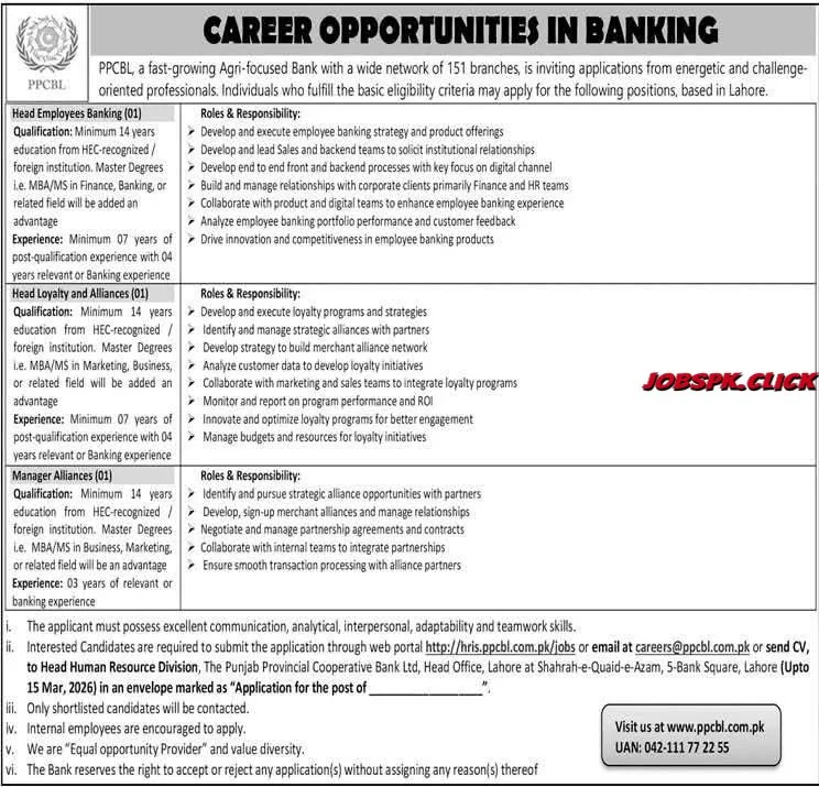 Punjab Provincial Cooperative Bank Jobs 2026 Official Advertisement