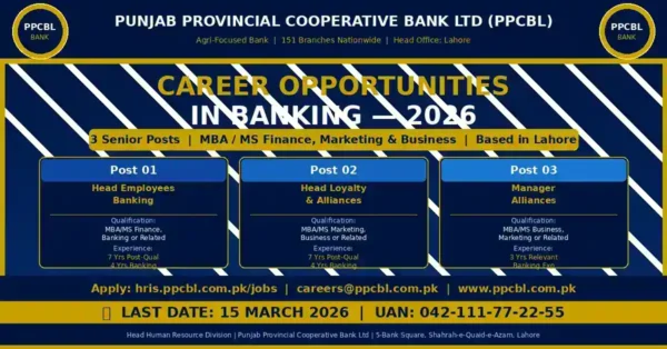 Punjab Provincial Cooperative Bank Jobs 2026 Apply Online | PPCBL Multiple Vacancies Announced 13 ppcbl jobs 2026 featured